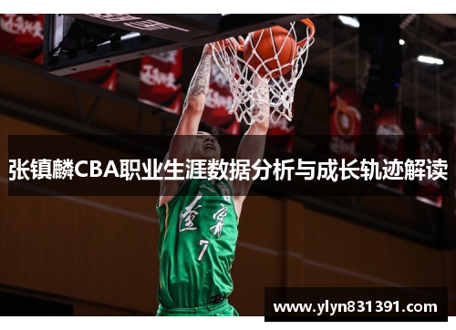 张镇麟CBA职业生涯数据分析与成长轨迹解读